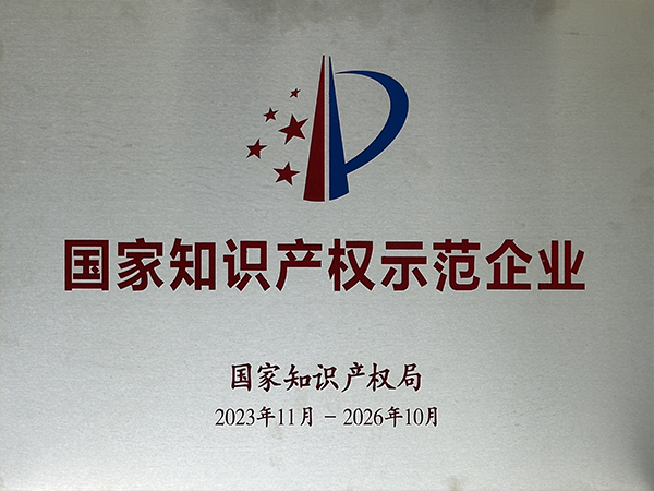 国家知识产权示范企业