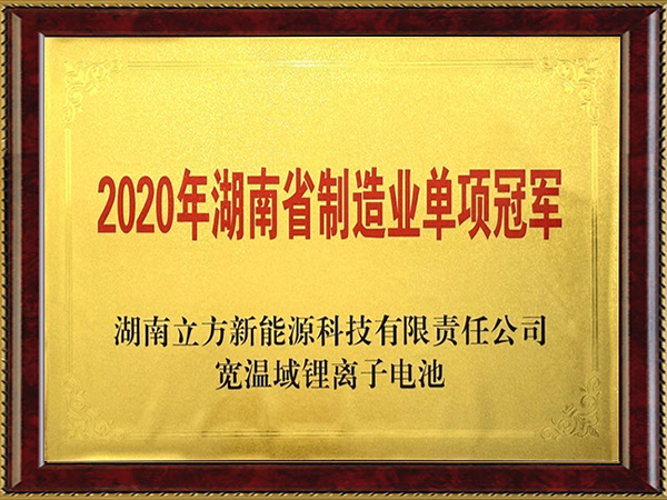 湖南省制造业单项冠军