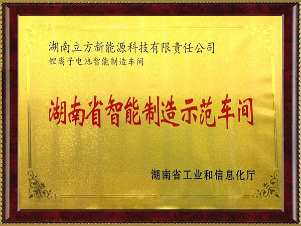 湖南省智能制造示范车间